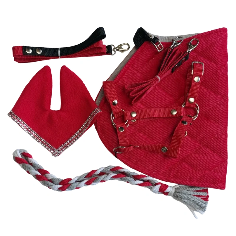 Zestaw Osprzętu Hobby Horse A4  - 6 elementów