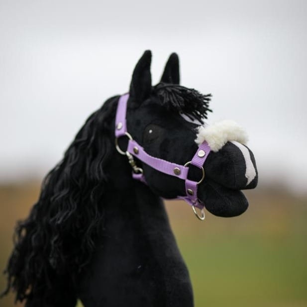 Kamijami Zestaw Osprzętu Hobby Horse - Fioletowy - A3 lub A4