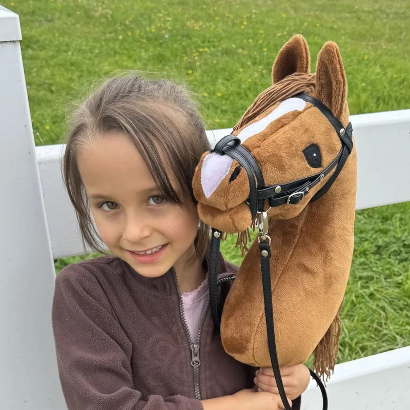 Walentino Hobby Horse A3