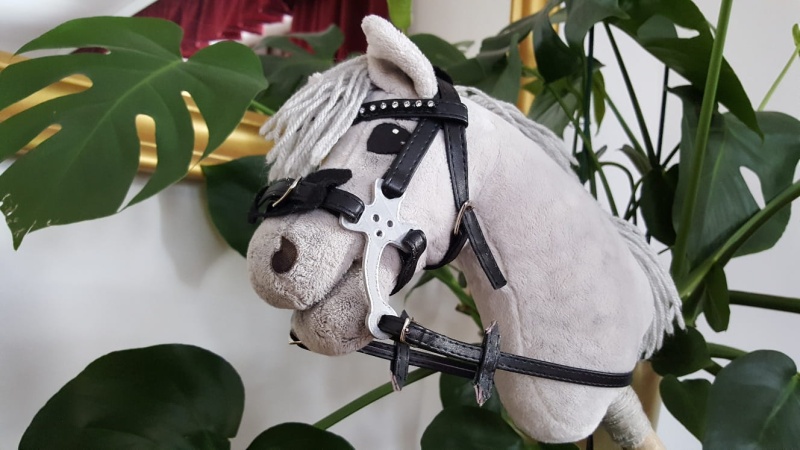 Czanki Hackamore