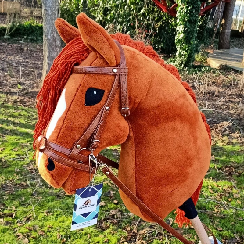 Hobby Horse  Merida (Koń na kiju) A3