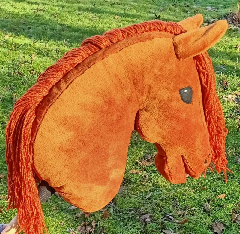 Hobby Horse  Merida (Koń na kiju) A3