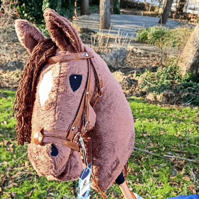 Hobby Horse  Grizzly (Koń na patyku) A3