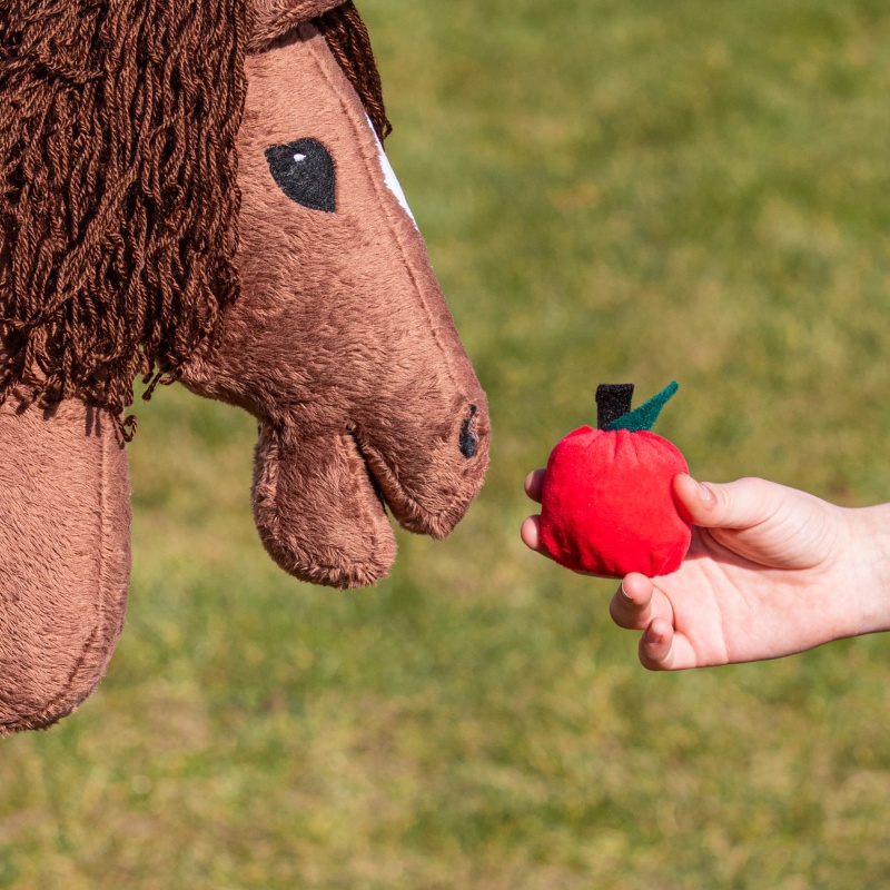 Smaczki + Szczotka Zestaw XL dla Hobby Horse 