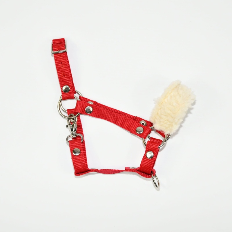 Kantar z futerkiem dla Hobby Horse (A3)