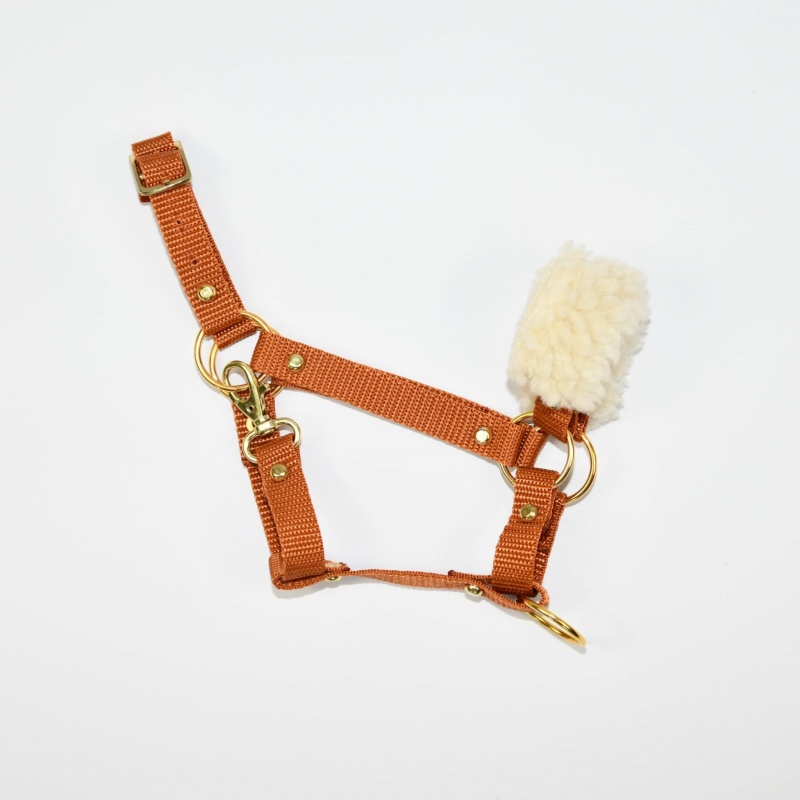 Kantar z futerkiem dla Hobby Horse (A3)