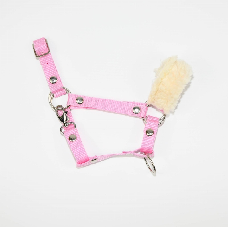 Kantar z futerkiem dla Hobby Horse (A3)