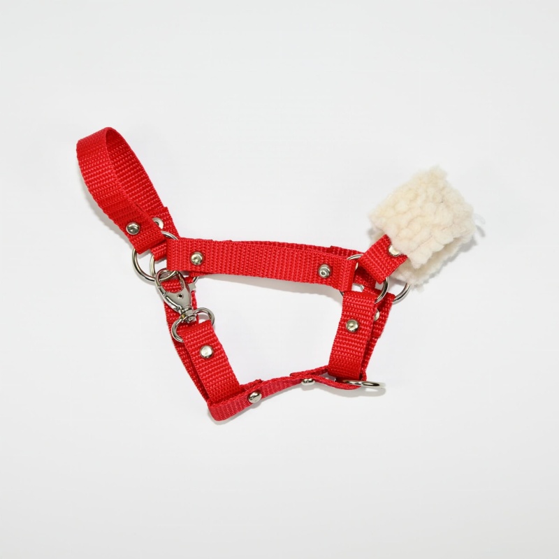 Kantar z futerkiem dla Hobby Horse (A4)