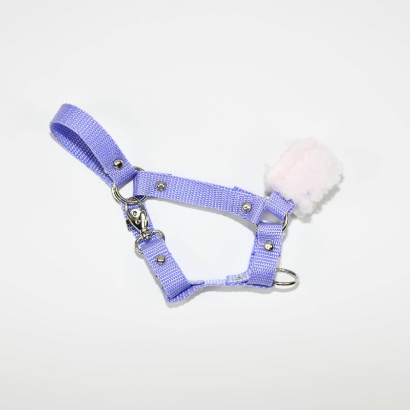 Kantar z futerkiem dla Hobby Horse (A4)