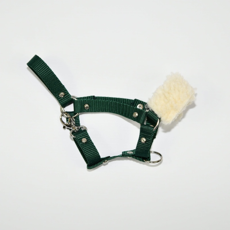 Kantar z futerkiem dla Hobby Horse (A4)