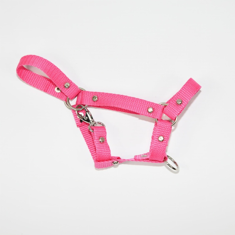 Kantar Hobby Horse Mały (A4)