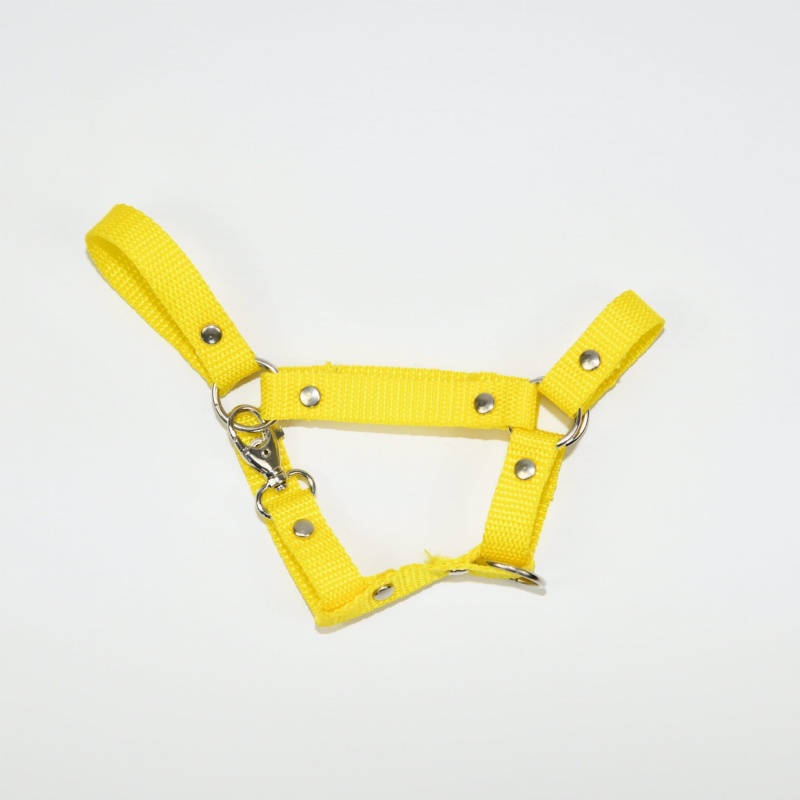 Kantar Hobby Horse Mały (A4)