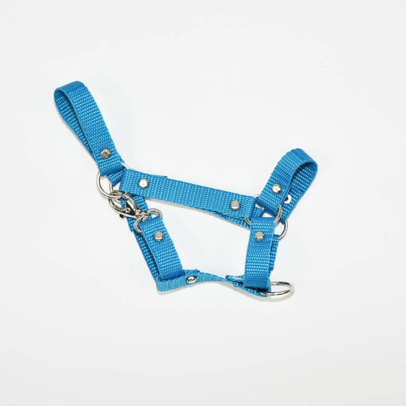 Kantar Hobby Horse Mały (A4)