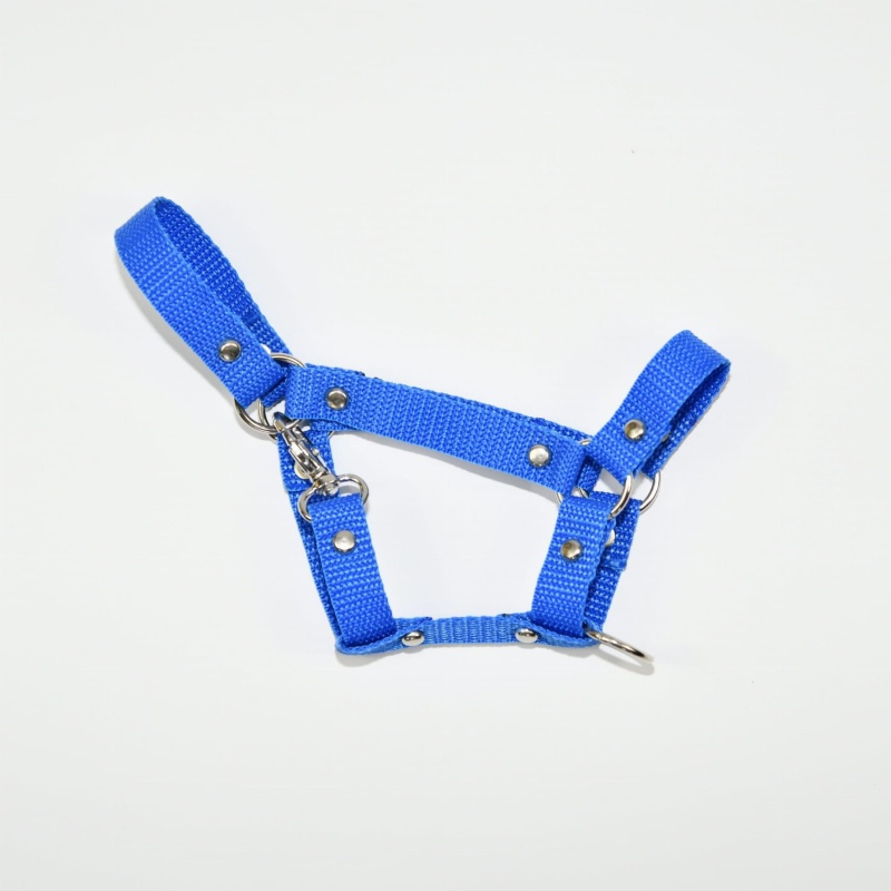 Kantar Hobby Horse Mały (A4)