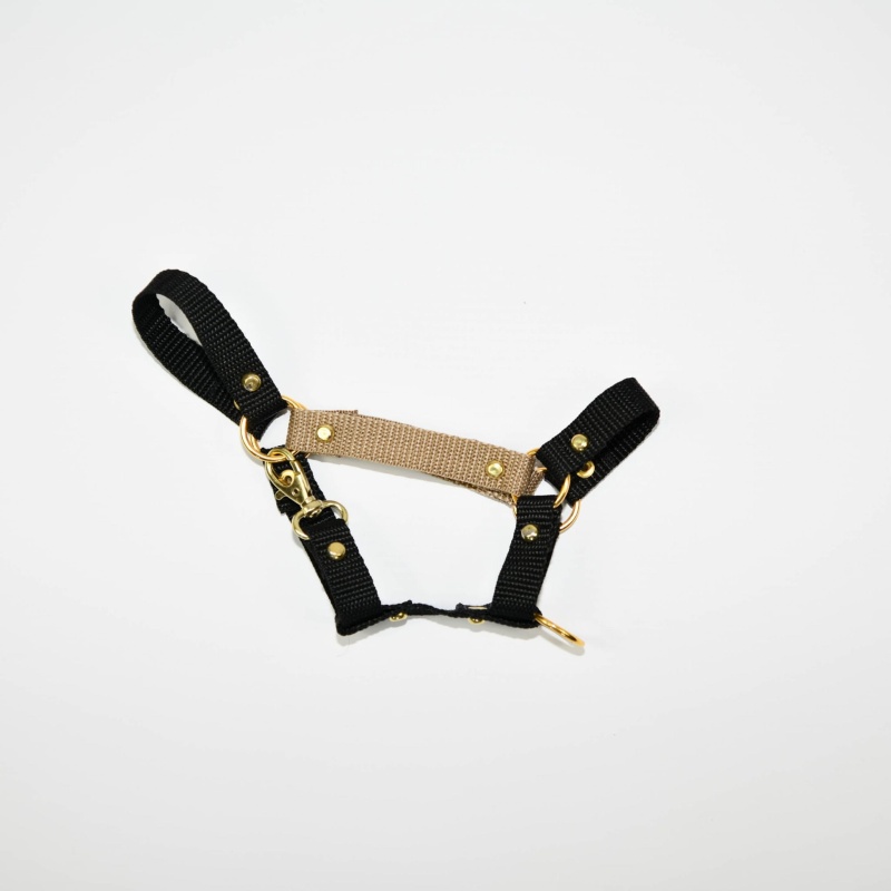 Kantar Hobby Horse Mały (A4)