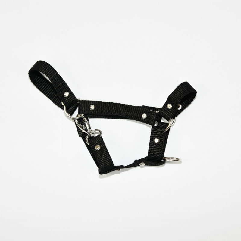 Kantar Hobby Horse Mały (A4)