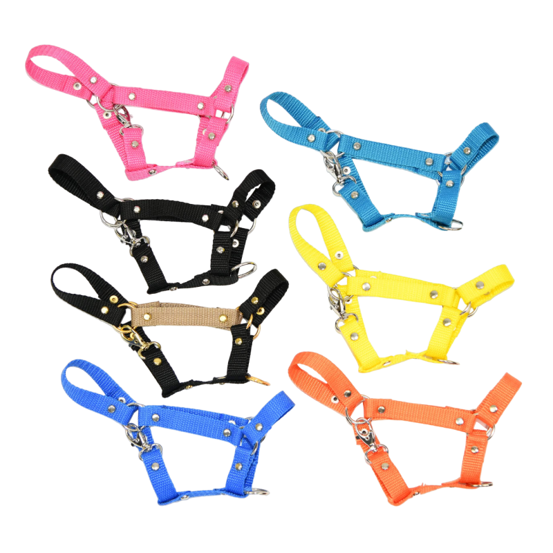 Kantar Hobby Horse Mały (A4)