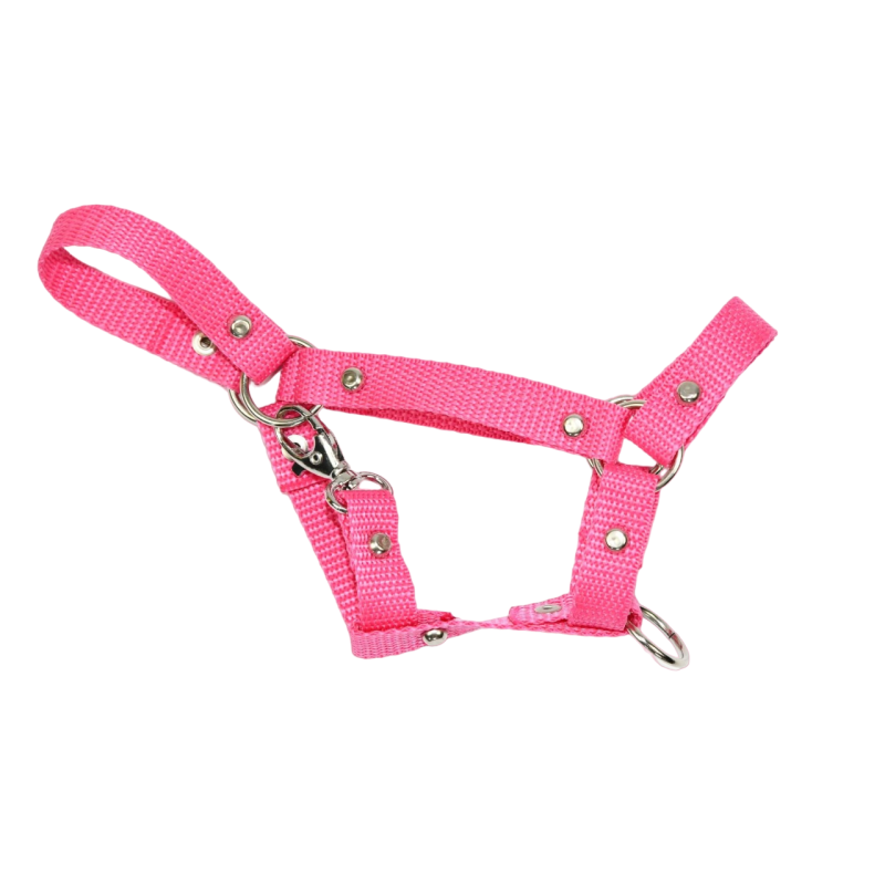 Kantar Hobby Horse Mały (A4)