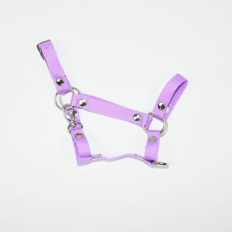 Kantar Hobby Horse SUMMER (A3)