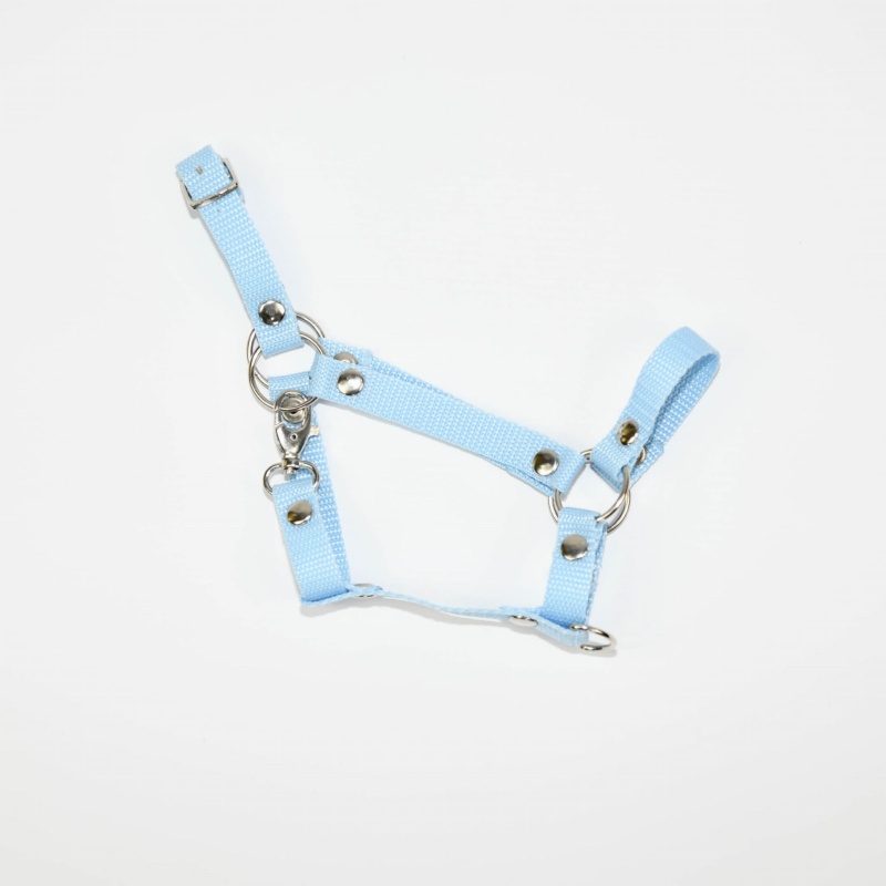 Kantar Hobby Horse SUMMER (A3)