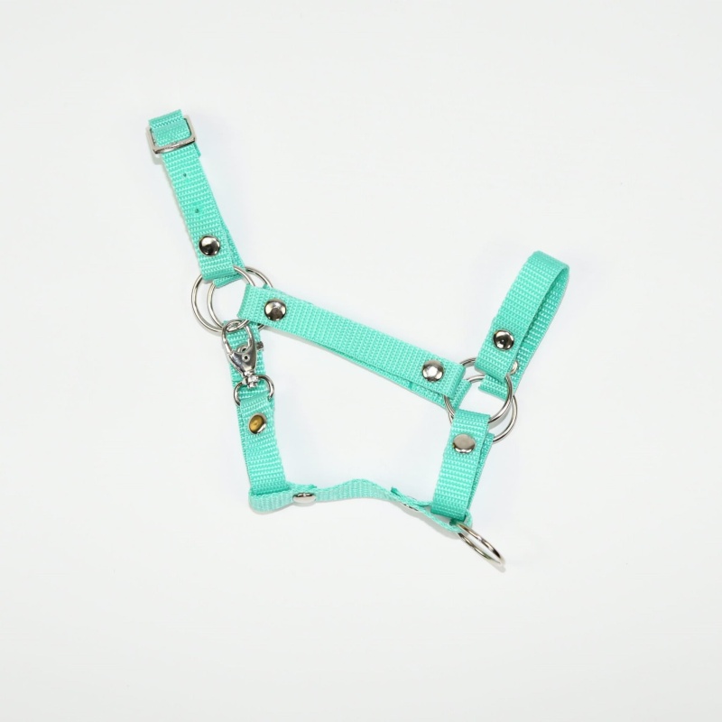 Kantar Hobby Horse SUMMER (A3)