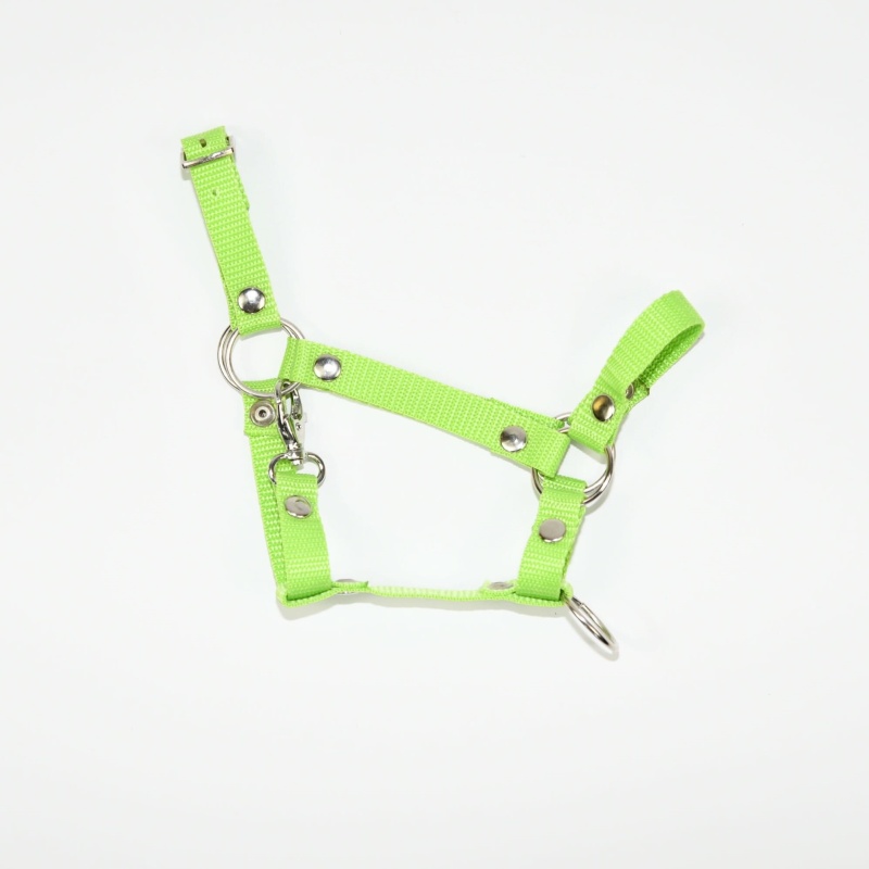 Kantar Hobby Horse SUMMER (A3)