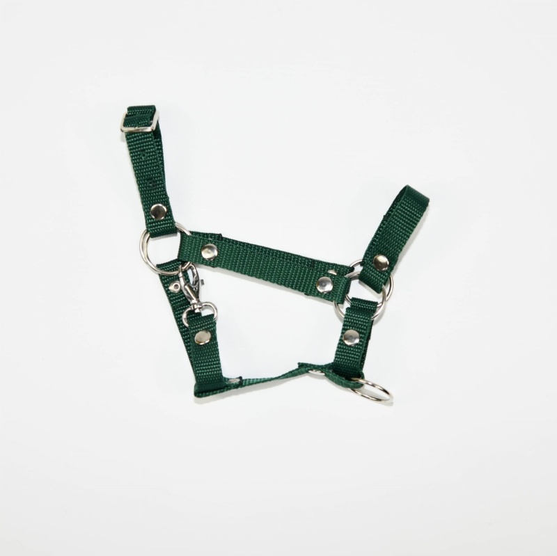 Kantar Hobby Horse SUMMER (A3)