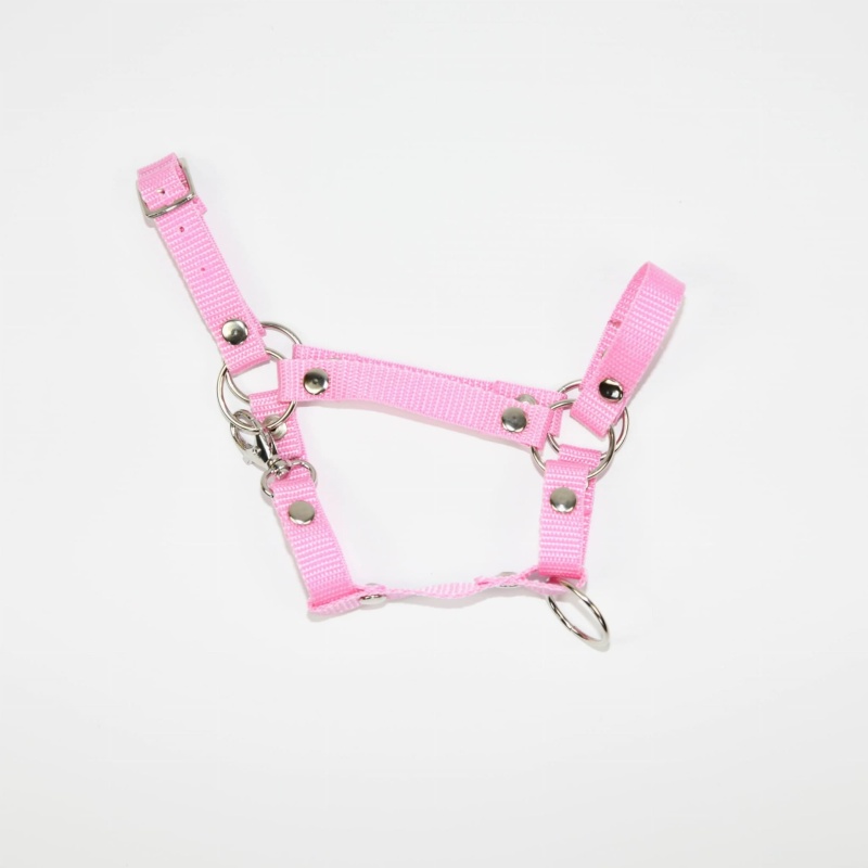 Kantar Hobby Horse SUMMER (A3)