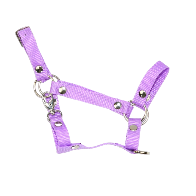 Kantar Hobby Horse SUMMER (A3)