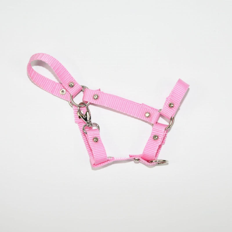 Kantar Hobby Horse SUMMER Mały (A4) 