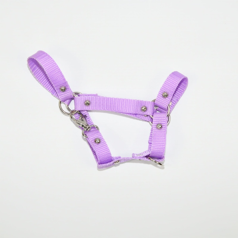 Kantar Hobby Horse SUMMER Mały (A4) 