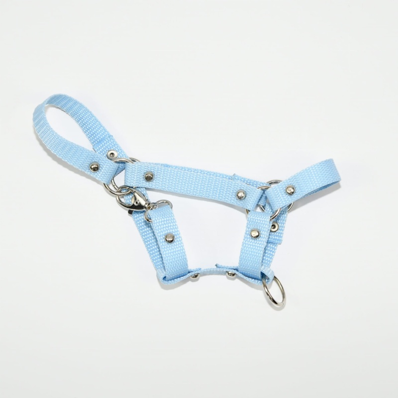 Kantar Hobby Horse SUMMER Mały (A4) 