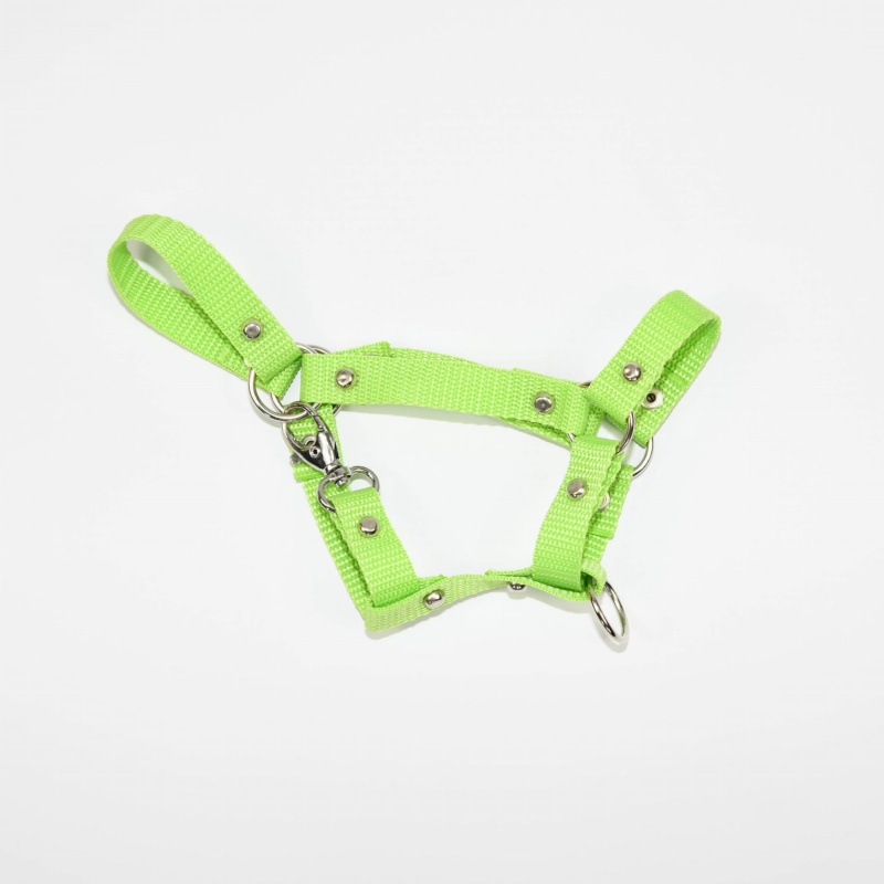 Kantar Hobby Horse SUMMER Mały (A4) 