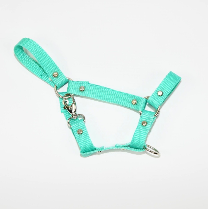 Kantar Hobby Horse SUMMER Mały (A4) 