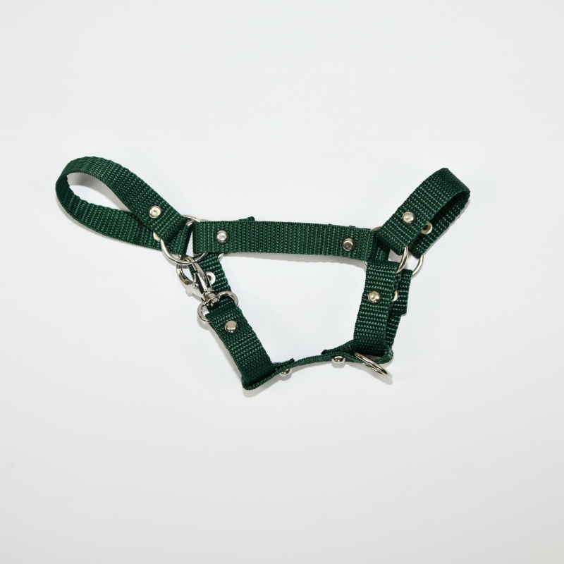 Kantar Hobby Horse SUMMER Mały (A4) 