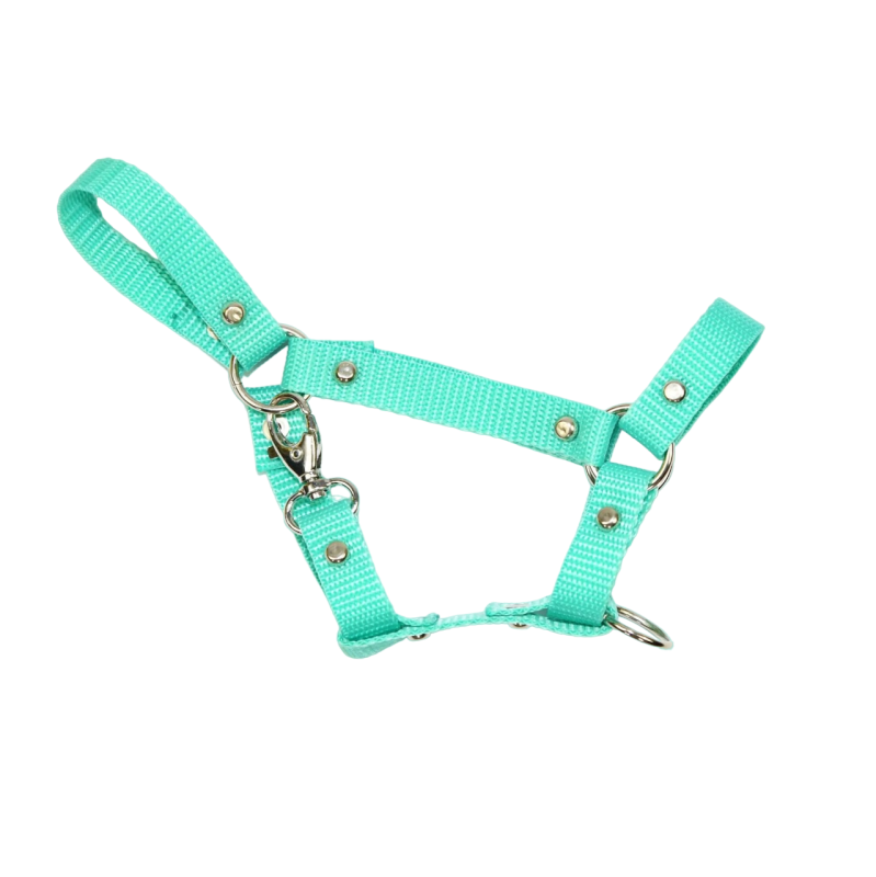 Kantar Hobby Horse SUMMER Mały (A4) 