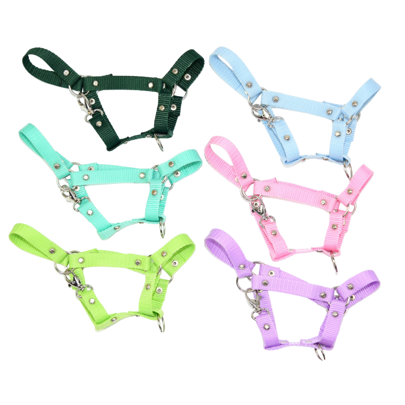 Kantar Hobby Horse SUMMER Mały (A4) 