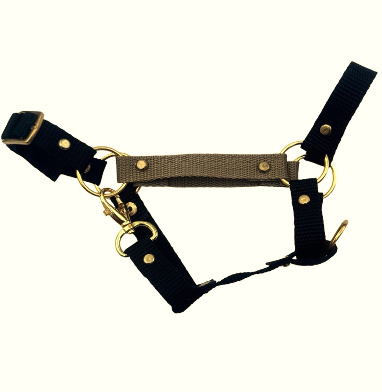 Kantar Hobby Horse GOLD(A3) 