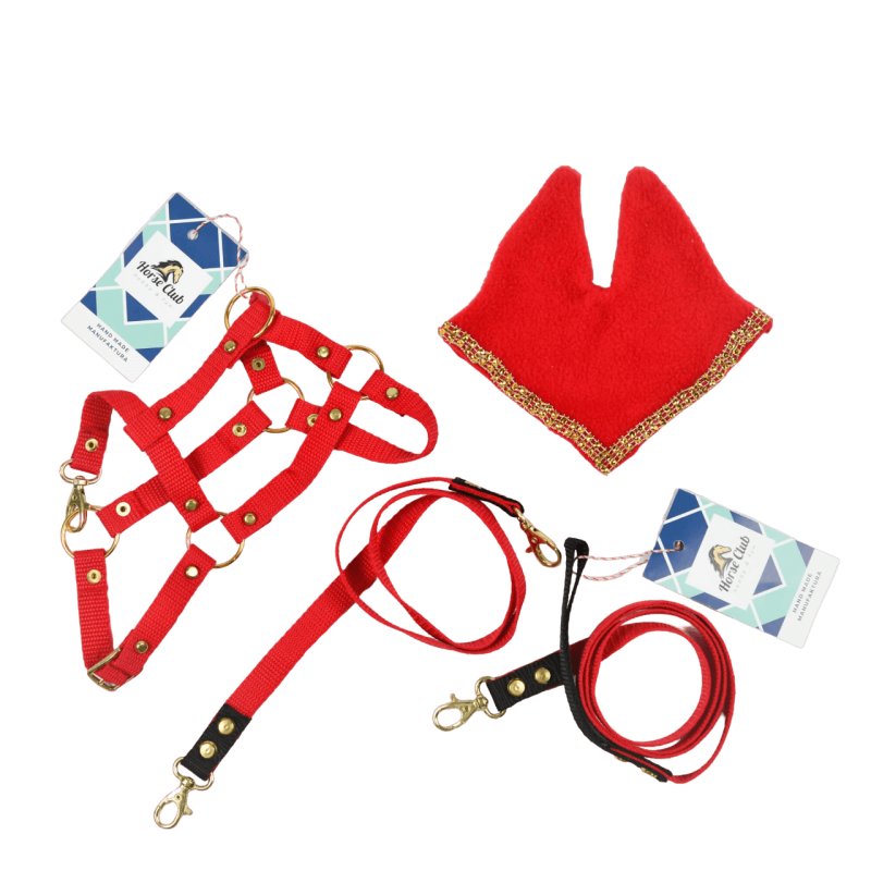 Zestaw Kantar + Nauszniki + Wodze + Uwiąz (A3)