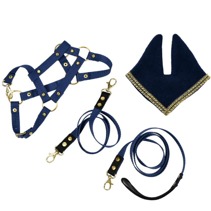 Zestaw Kantar + Nauszniki + Wodze + Uwiąz (A3)