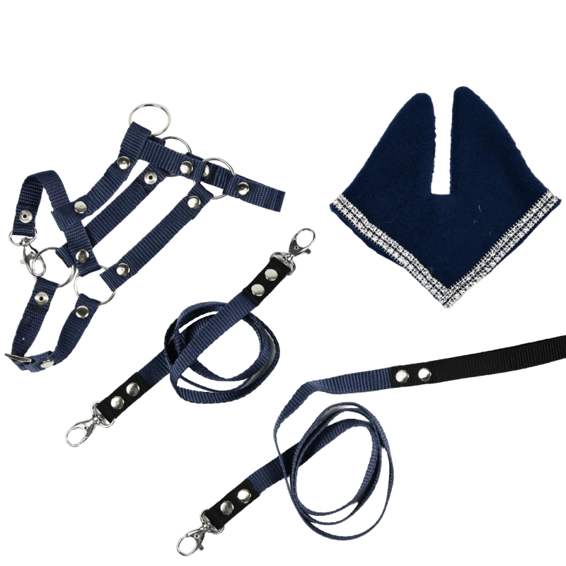 Zestaw Kantar + Nauszniki + Wodze + Uwiąz (A3)