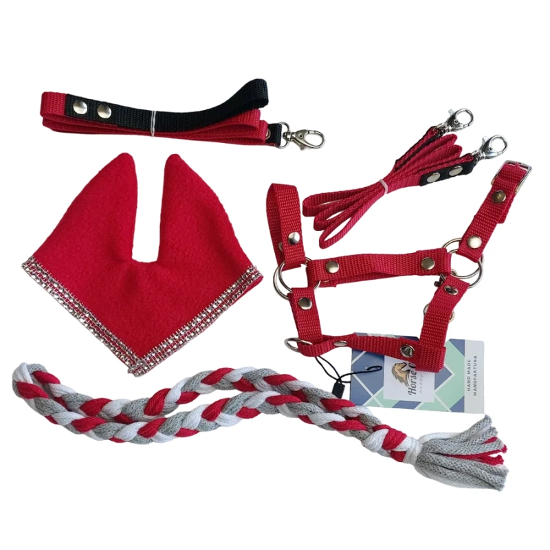 Zestaw Osprzętu Hobby Horse A3  - 5 elementów  