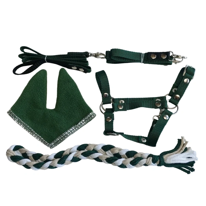 Zestaw Osprzętu Hobby Horse A3  - 5 elementów  